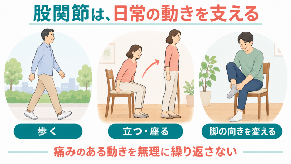 歩行、立ち座り、靴下を履く場面で股関節を使うことを示す図