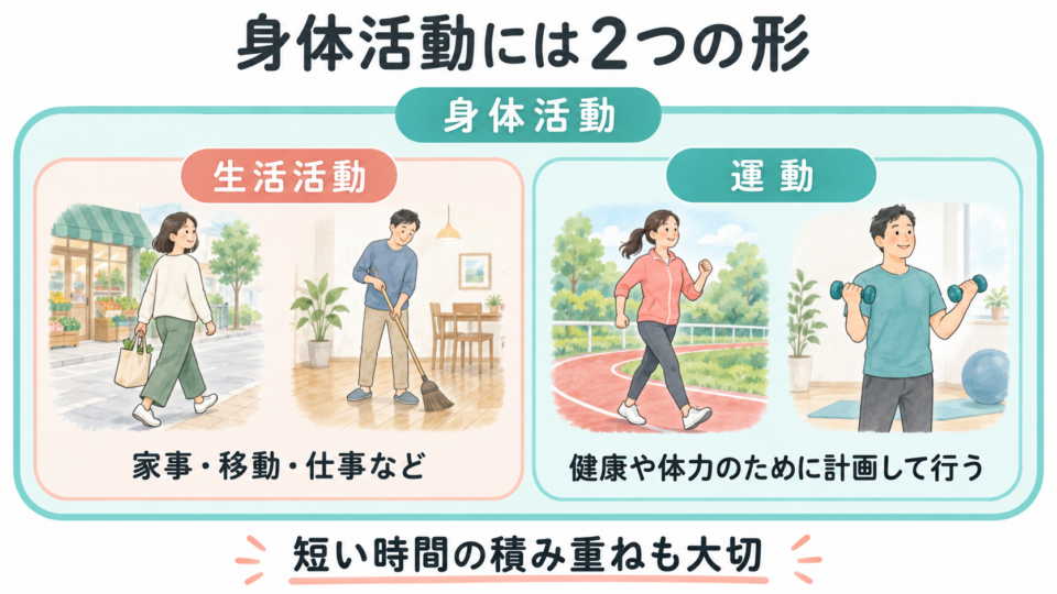 身体活動の中に生活活動と運動が含まれることを示す図