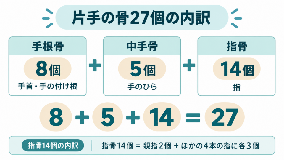 片手27個を手根骨8個、中手骨5個、指骨14個に分けた計算図