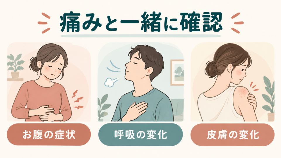 背中の痛みと一緒に、お腹の症状、呼吸の変化、皮膚の変化を確認する