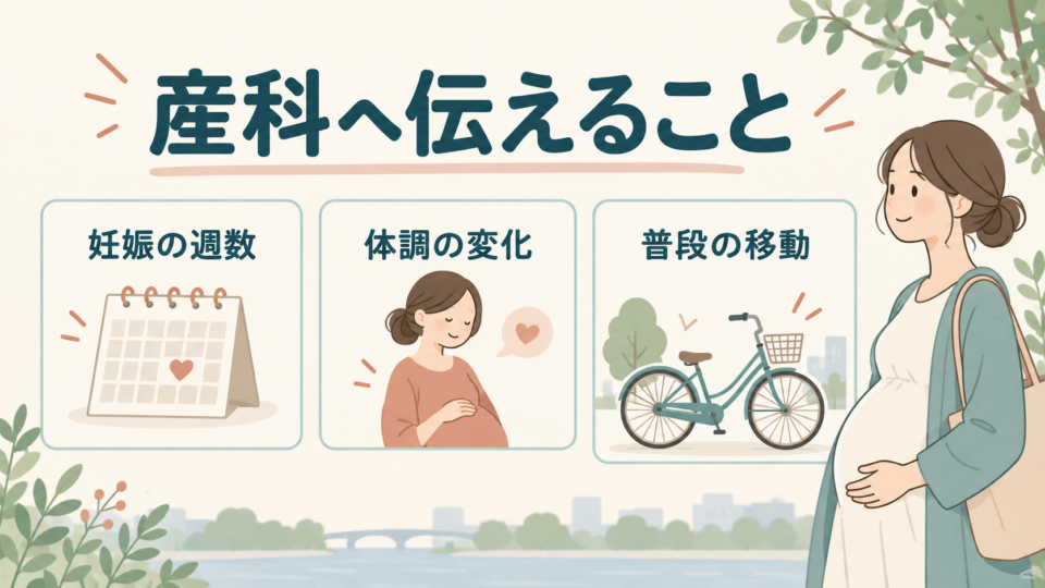 産科には妊娠の週数、体調の変化、普段の移動を伝える