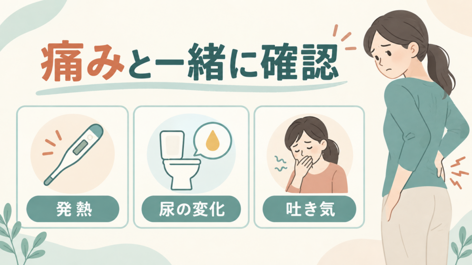 腰の脇の痛みと一緒に発熱、尿の変化、吐き気を確認する