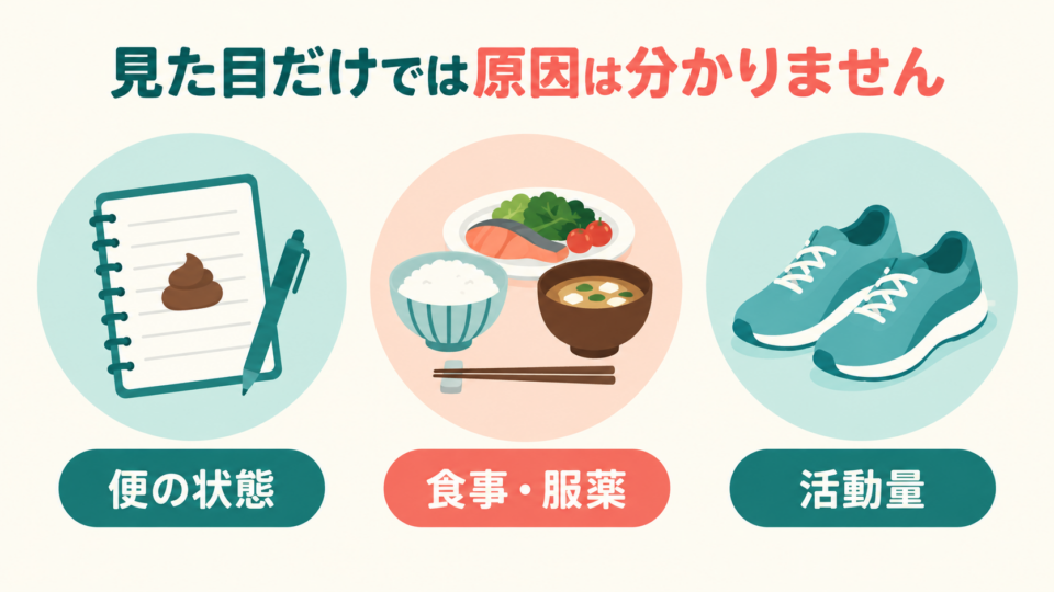 お腹の見た目だけで原因を判断せず便の状態・食事や服薬・活動量を確認する図