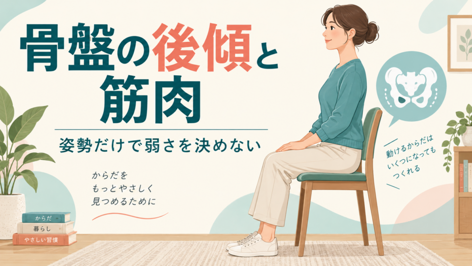骨盤の後傾と筋肉の関係を、座った姿勢から考える