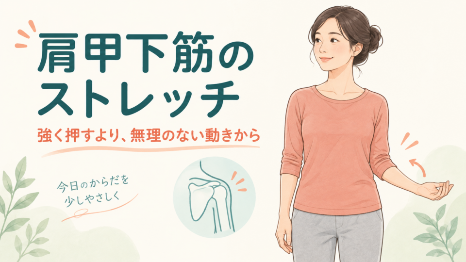 肩甲下筋のストレッチを、強い圧迫ではなく無理のない肩の動きから考えるイメージ