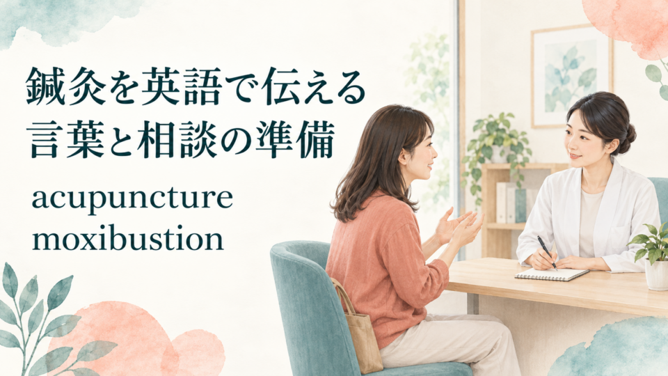 鍼灸の英単語を確認しながら相談する女性と施術者の説明用イラスト